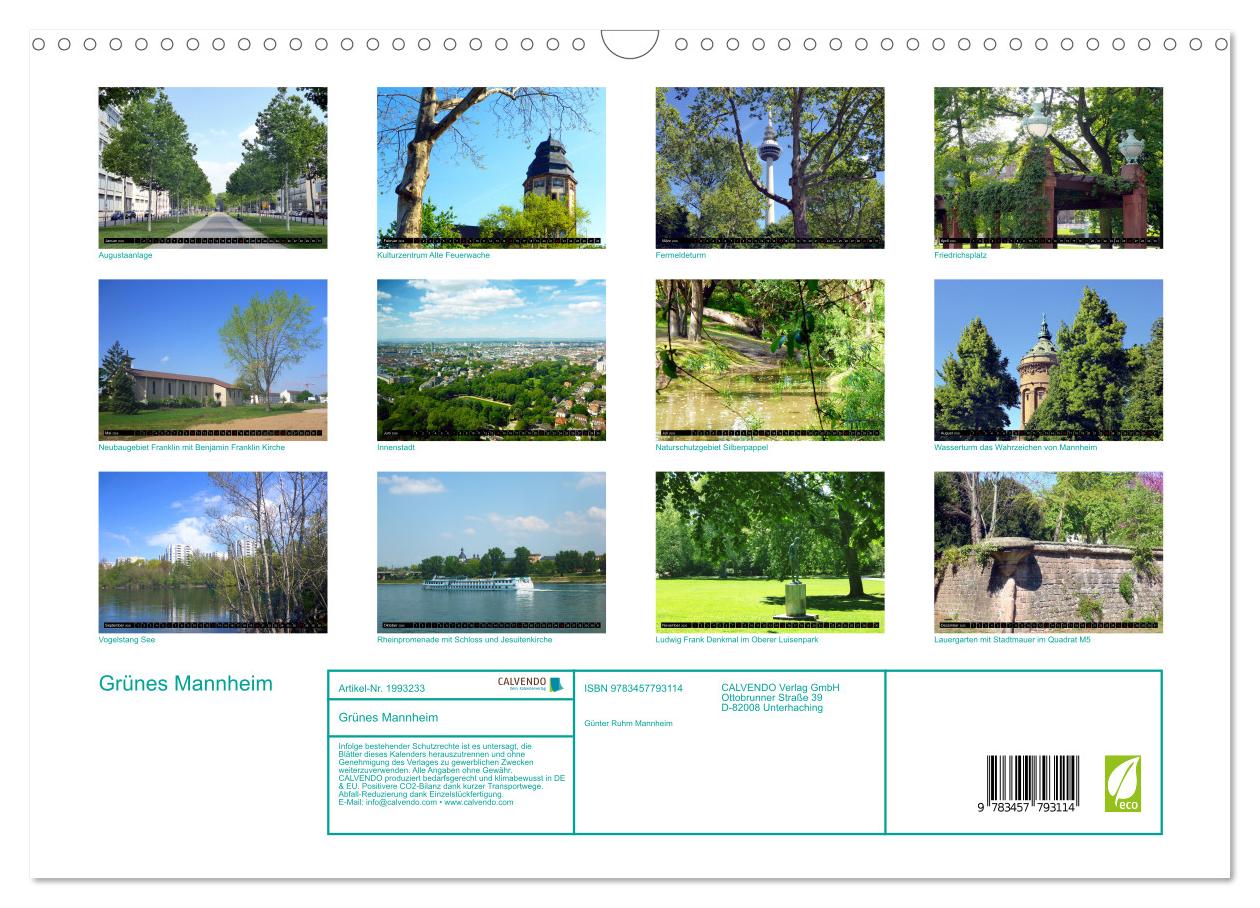 Gruenes_Mannheim_Rueckseite_Guenter-Ruhm_Germany.jpg